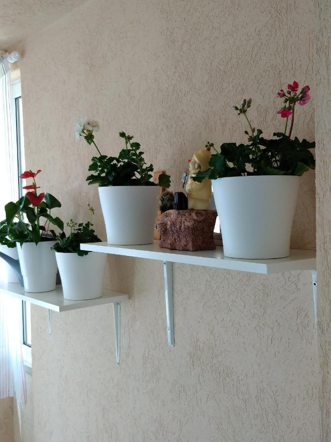 Appartement Heart Of Makarska Extérieur photo